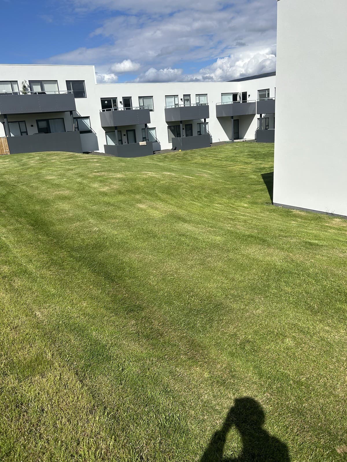 Sama svæði eftir slátt, snyrtileg grasflöt með greinilegum slátturöndum