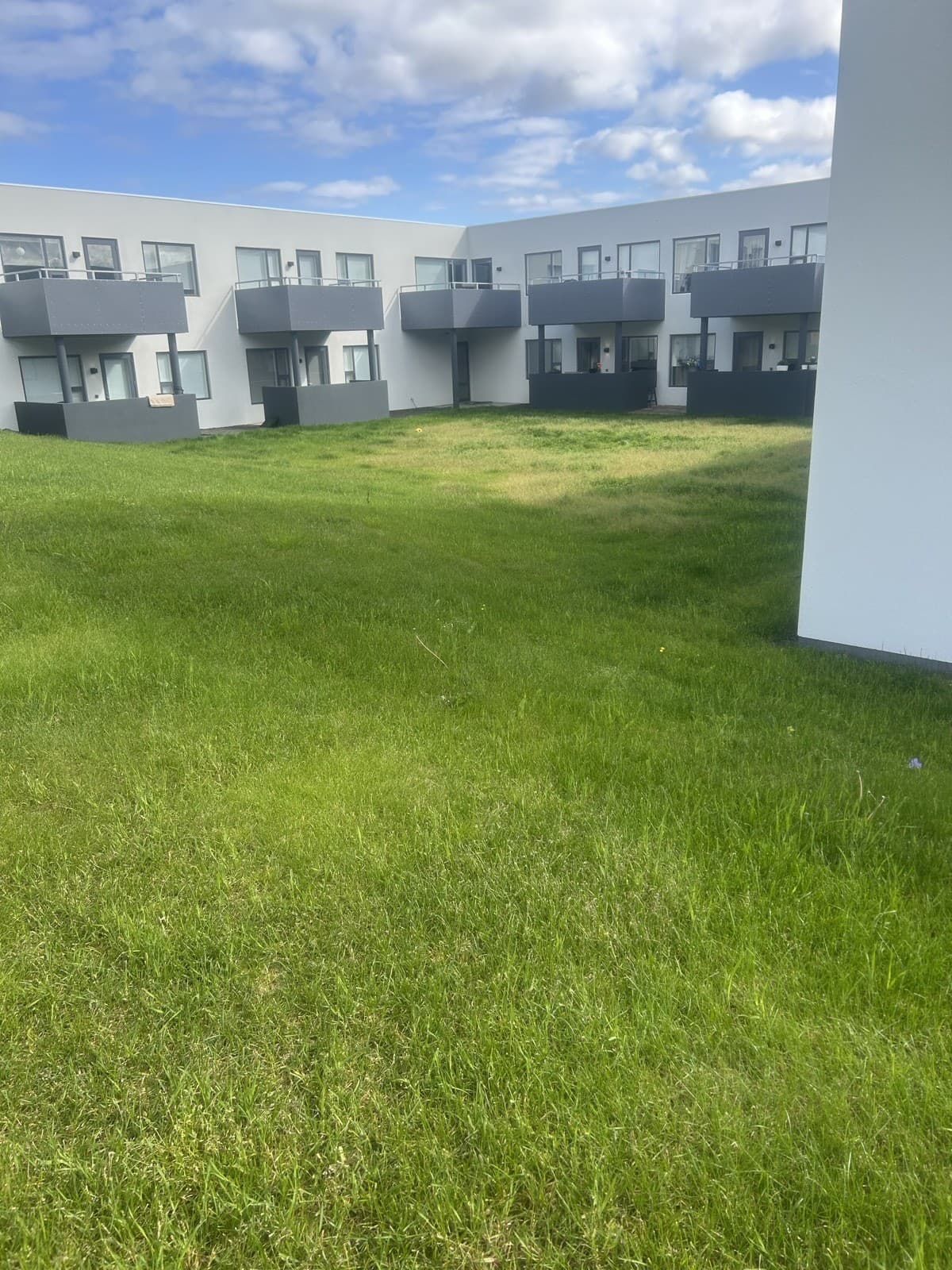 Grasflöt við fjölbýlishús áður en hún var slegin, gras orðið sítt og úfið